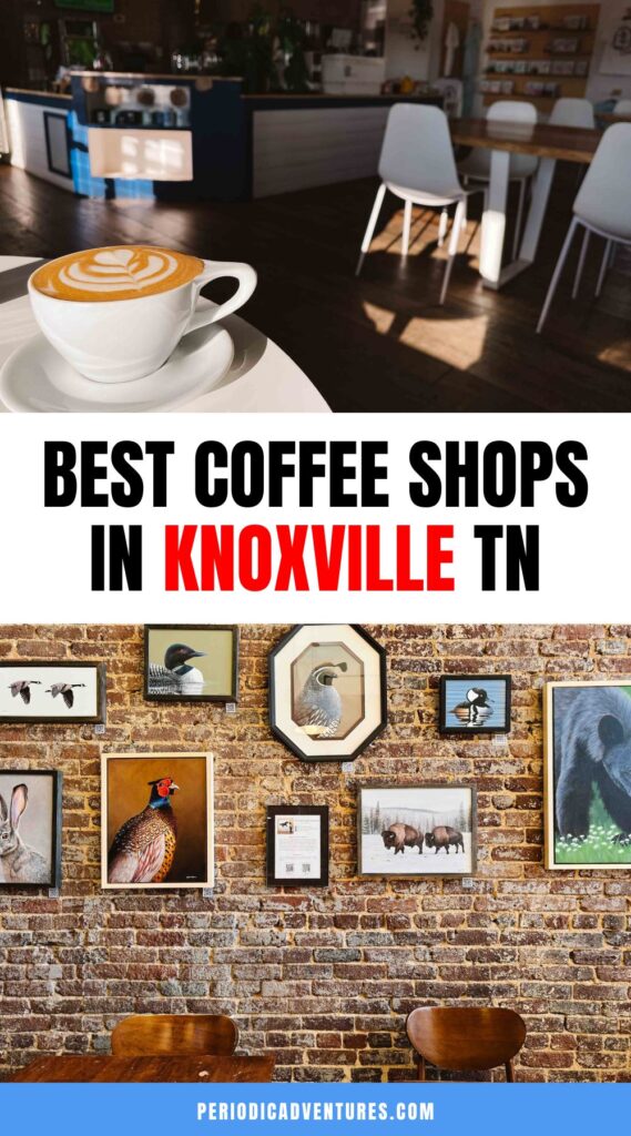 These are the best coffee shops in Knoxville Tennessee including local favorites like K Brew, Mahalo, and more!