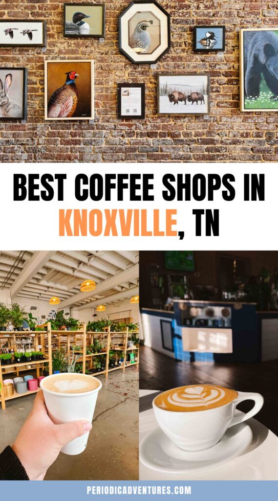 These are the best coffee shops in Knoxville TN according to a local. 