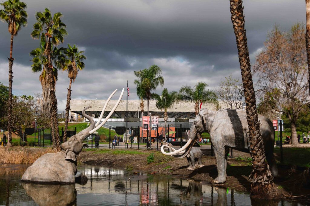 Exterior view of Hancock Park where inside sits the La Brea Tar Pits with the museum in the back with fake woolly mammoths getting caught in the tar